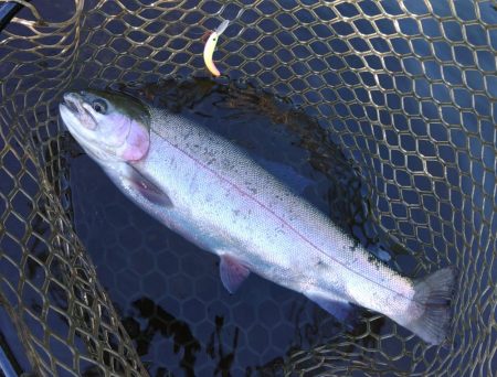 エキスパートエリアで大物狩り ～平谷湖フィッシングスポット～